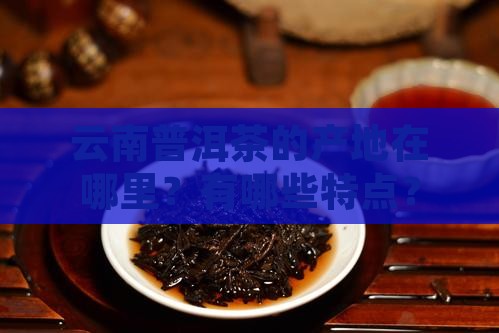 云南普洱茶产地以及特点