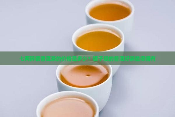 七两碎银普洱茶是什么价格