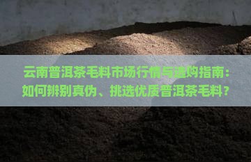 云南普洱茶毛料网 云南普洱茶毛料网