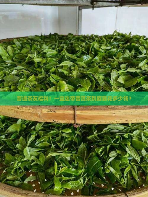 迷帝普洱茶多少钱一盒