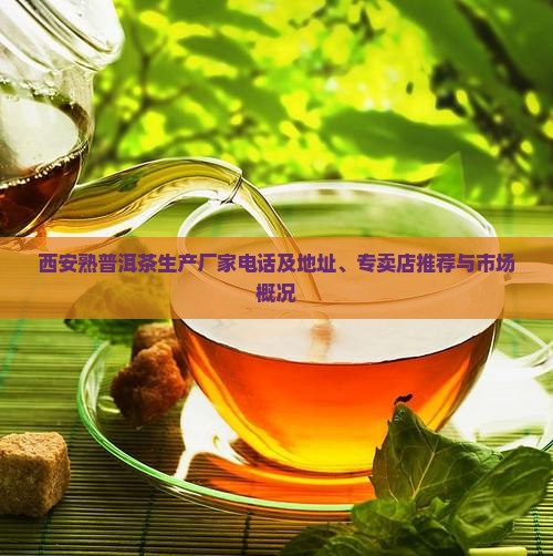 西安熟普洱茶生产厂家电话
