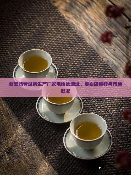 西安熟普洱茶生产厂家电话