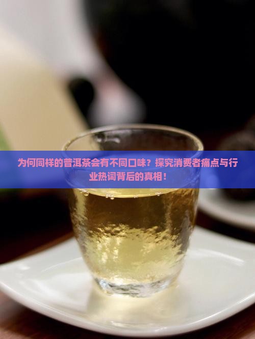 同样的普洱茶不同口味
