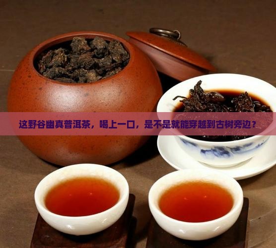 野谷幽真普洱茶
