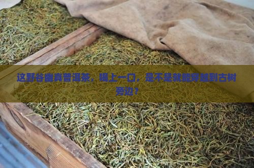 野谷幽真普洱茶