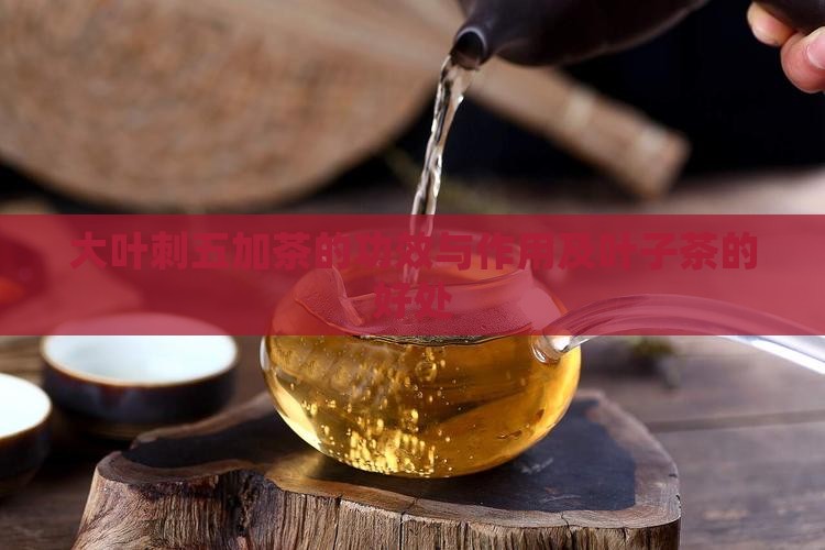 大叶刺五加茶的功效与作用