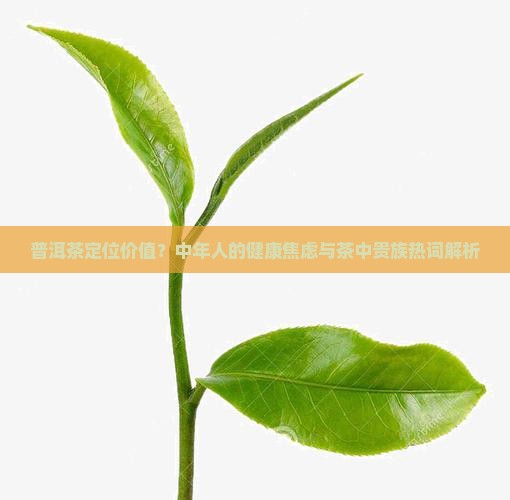 普洱茶定位价值
