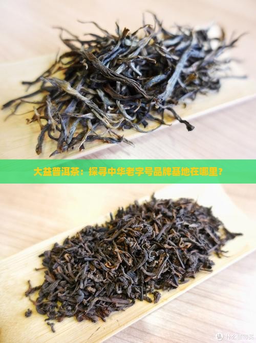 大益普洱茶基地在哪里