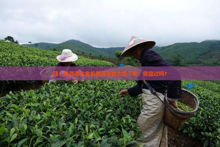 嘉木金瓜普洱茶