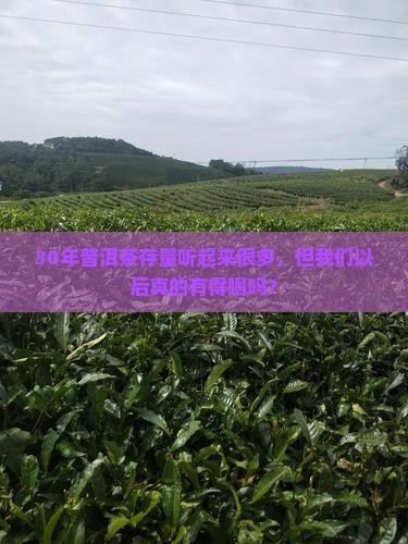 普洱茶的存量已经够喝几十年了
