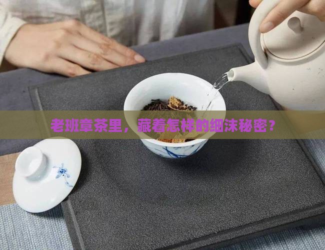 老班章茶有细沫