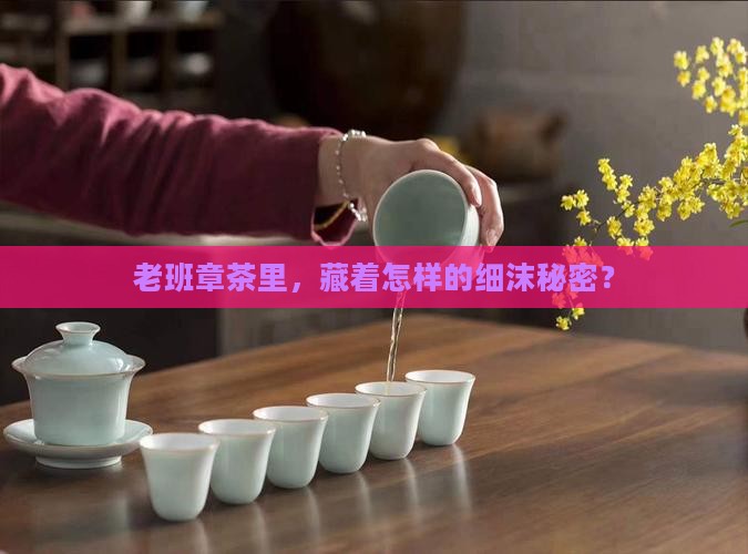 老班章茶有细沫