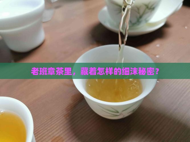 老班章茶有细沫