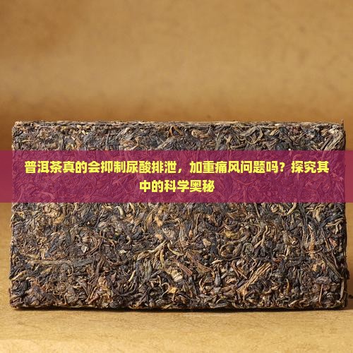 普洱茶抑制尿酸排泄吗