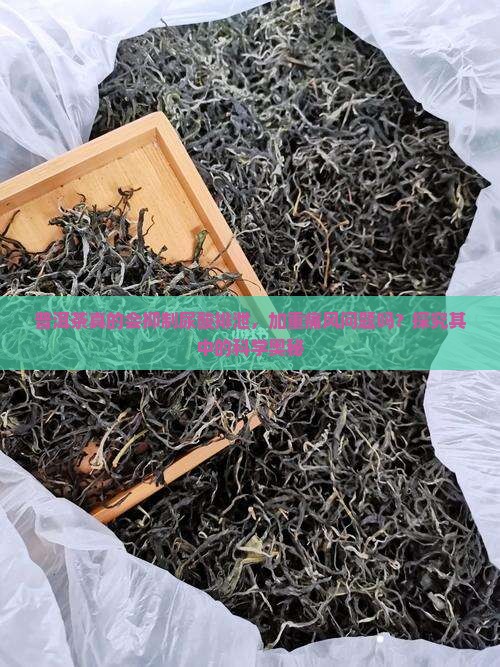 普洱茶抑制尿酸排泄吗