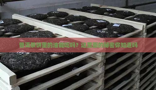 普洱茶饼里的油能吃吗为什么
