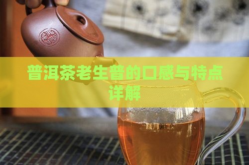 普洱茶老生普的口感特点