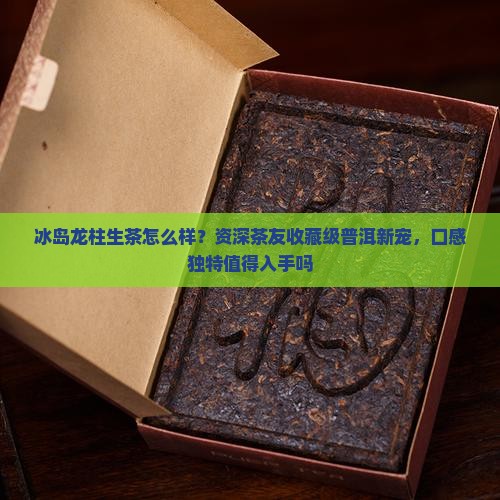 冰岛龙柱生茶怎么样