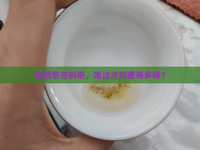 老班章古树杠杠滴