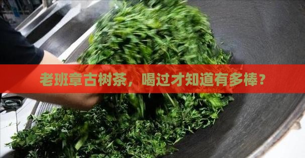 老班章古树杠杠滴