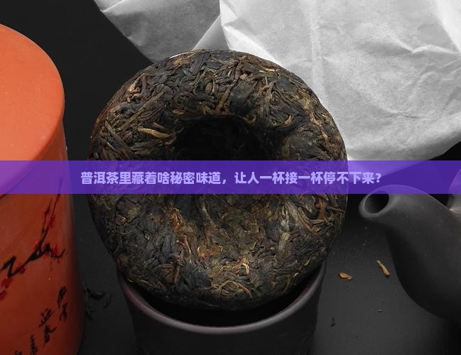 普洱茶有一种什么味儿好喝
