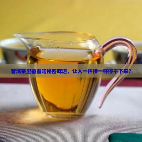 普洱茶有一种什么味儿好喝