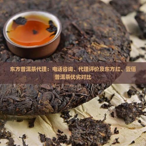 东方普洱茶代理