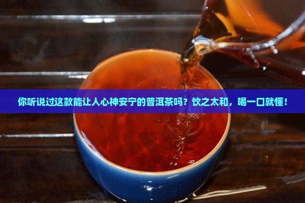 饮之太和普洱茶
