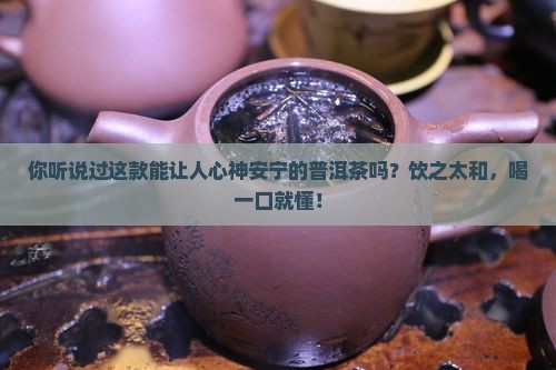 饮之太和普洱茶