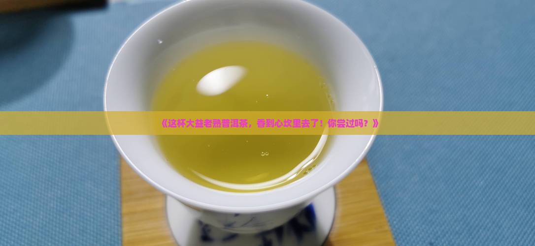 品味大益老熟普洱茶