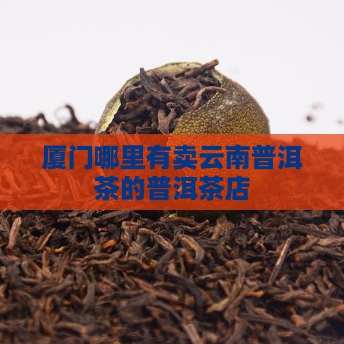 厦门哪里有云南普洱茶