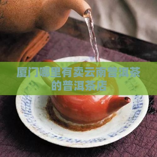 厦门哪里有云南普洱茶