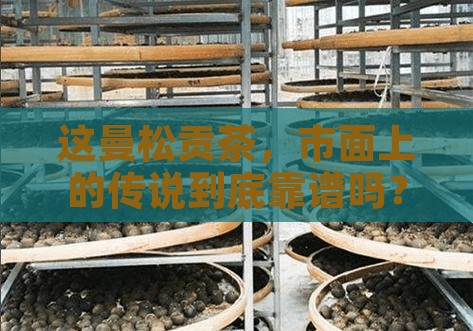 市面上曼松贡茶是不是真的