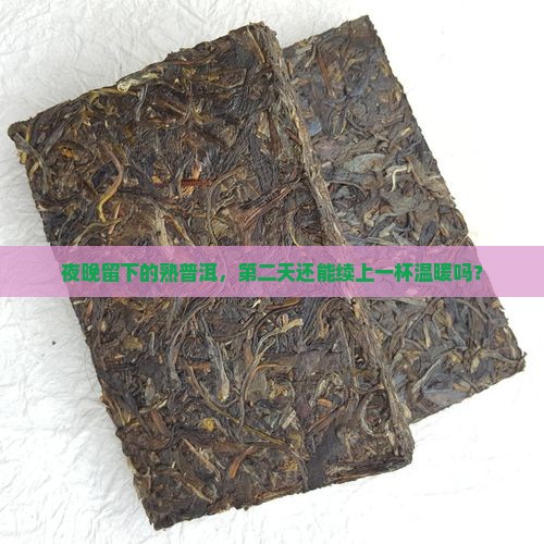 隔夜普洱茶熟茶可以喝吗