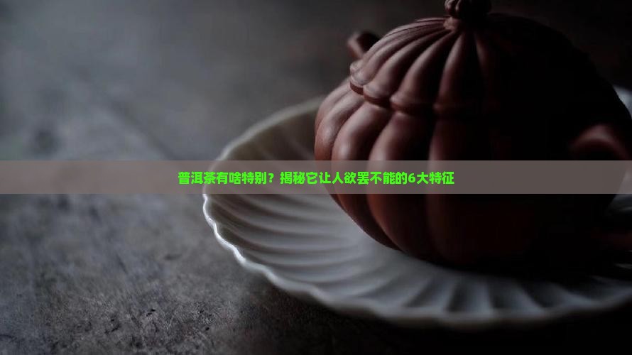 普洱茶的6大特征