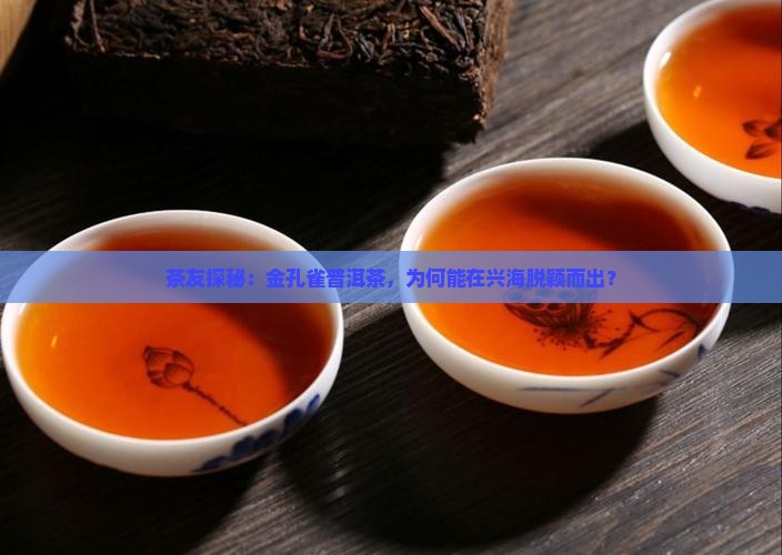 金孔雀普洱茶兴海