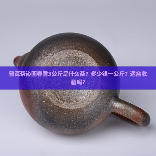 普洱茶沁园春雪3公斤