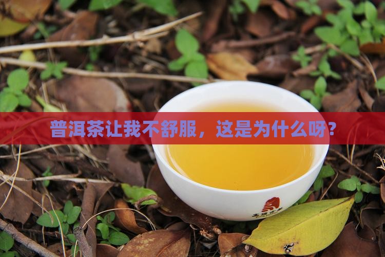 为什么喝普洱茶难受