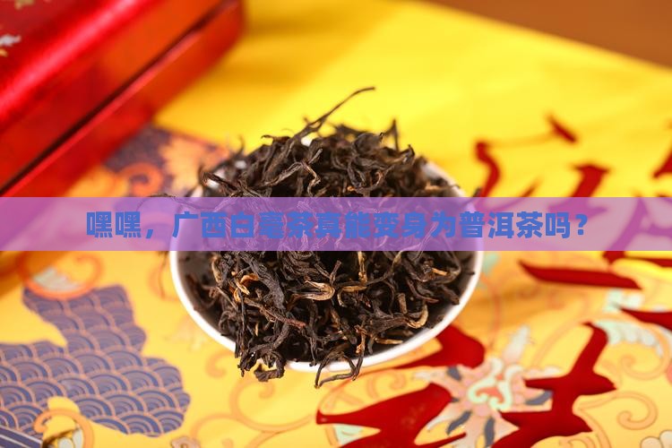 广西白毫茶可以做普洱茶吗