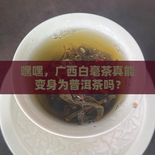 广西白毫茶可以做普洱茶吗