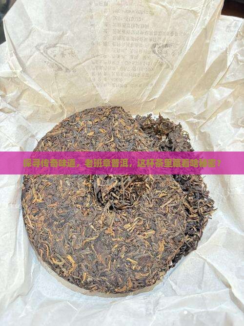 普洱茶茶中精品老班章