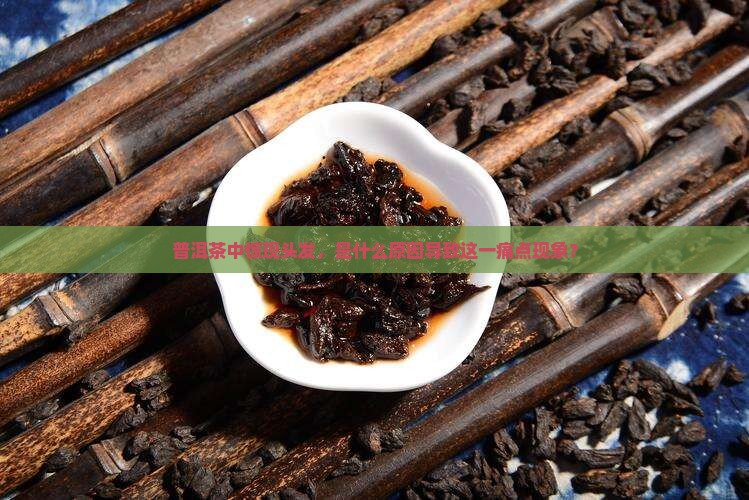 普洱茶里面有许多头发