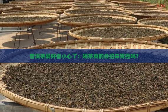 喝普洱茶得胃癌的几率