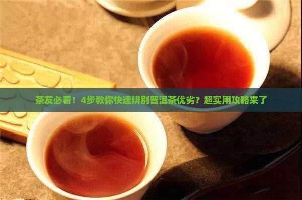 怎样区分普洱茶的品质等级