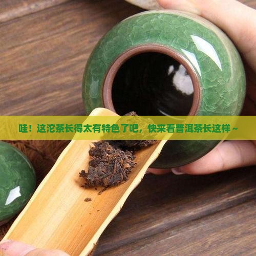 普洱茶沱茶照片 普洱茶沱茶照片