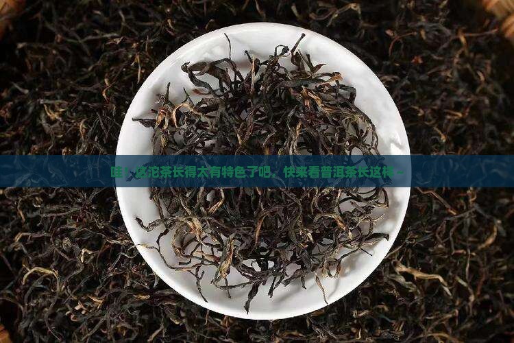 普洱茶沱茶照片 普洱茶沱茶照片