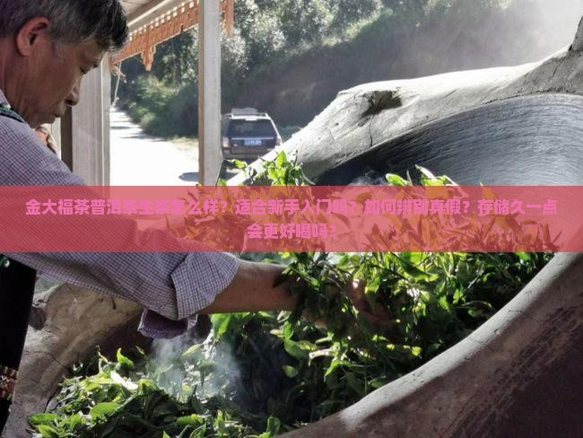 金大福茶普洱茶生茶 金大福茶普洱茶生茶