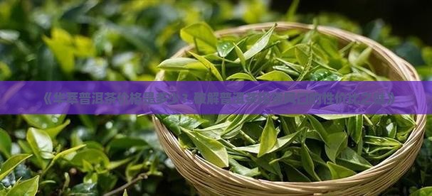 华萃普洱茶价格
