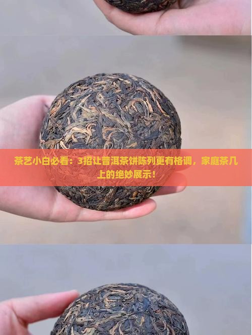 普洱茶饼陈列摆放