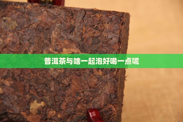 普洱茶与啥一起泡好喝一点